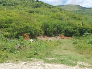 Pamphret, St. Thomas, Jamaica - Residential lot for Sale